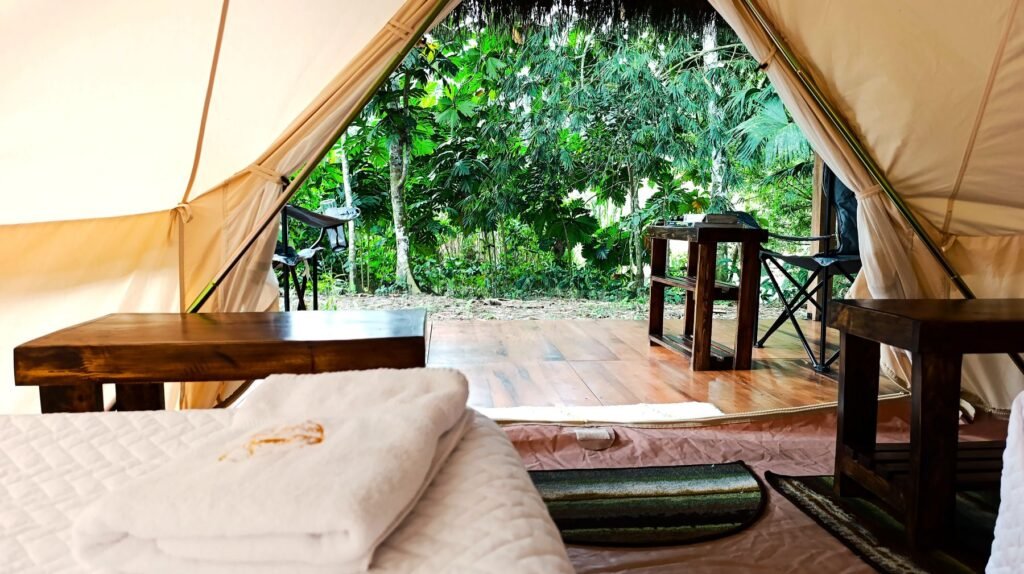 A view from the Tent